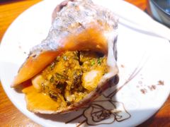 朝鲜海螺-丹东特色烤肉(学府路一部店)