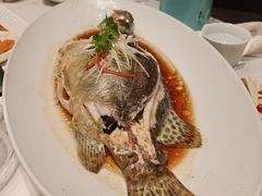 清蒸鳜鱼-红高粱大酒店(宁山东路店)