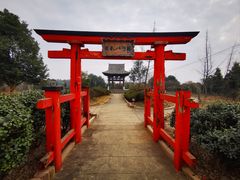 -都江堰玫瑰花溪谷