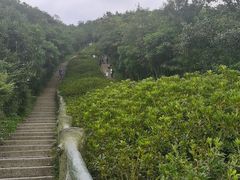 -梧桐山风景名胜区