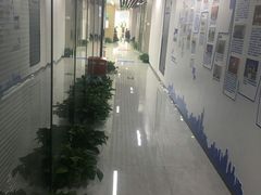 -新航道雅思托福·留学·考研培训(人民广场校区)