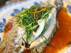 清蒸鳌花鱼(每斤)-胖姐渔村(中源大道店)