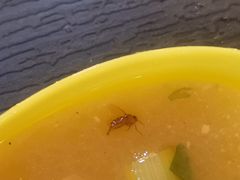 -顺华粉馆(桃园南路店)
