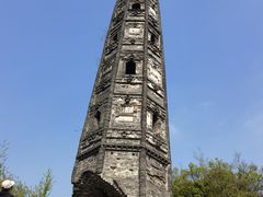 -上海佘山国家森林公园天马山园