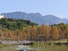 -牛岗山公园