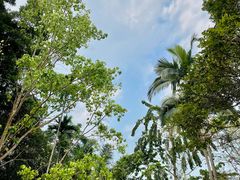 -中国科学院西双版纳热带植物园