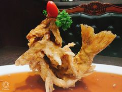 糖醋鲤鱼-老牌坊•鲁菜名店•地道济南菜(大观园商埠店)