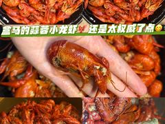 -盒马鲜生(莱蒙都会店)