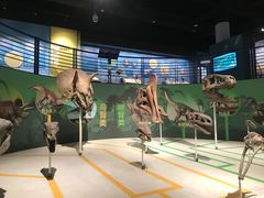 -国家自然博物馆