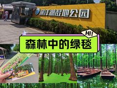 -渌洋湖湿地公园