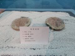 -大同煤炭博物馆