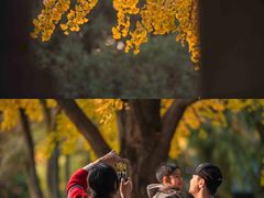 -汇龙潭