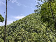 -周洛大峡谷