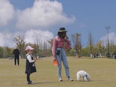 -上海长兴岛郊野公园