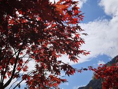 -叠溪松坪沟景区