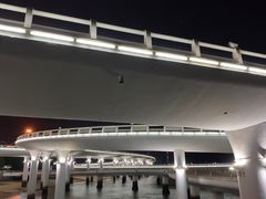 -演武大桥观景平台