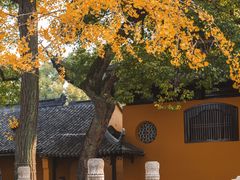 -西园戒幢律寺