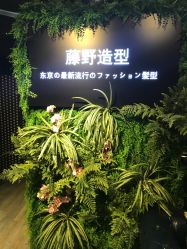 -藤野造型