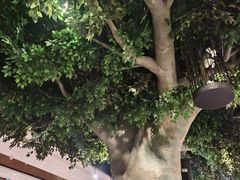 -渔公码头海货全海鲜自助(海滨旅游路店)