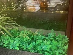 -正德楼果木烤鸭·渔家菜(东港店)