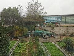 -上海佘山世茂艾美酒店
