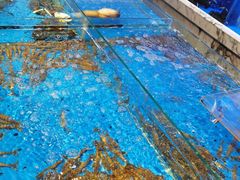 水产区-箸福·夜上海(月牙湖公园店)