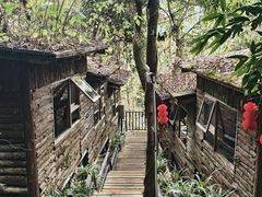 -天门沟九州驿站树上汤泉