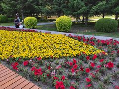 -长春公园(普阳街道)