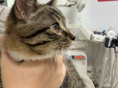 -艾贝尔宠物医院 ·中兽医·宠保定点(北门桥店)