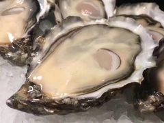 -酒池星座(深圳湾后海汇店)