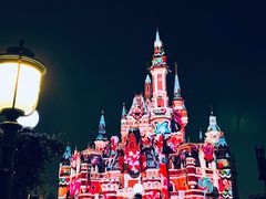 -上海迪士尼度假区