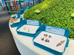 -北京科学中心儿童乐园