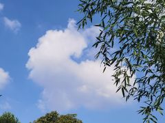 -碧云国际社区·晓园