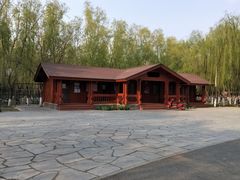 -东郊湿地公园