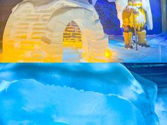 -海合安武汉极地海洋公园