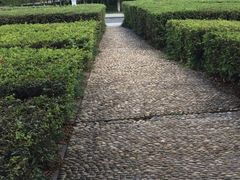 -白塘生态植物园