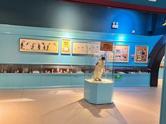 -海合安武汉极地海洋公园