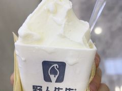 -野人先生现做冰淇淋(西安赛格店)