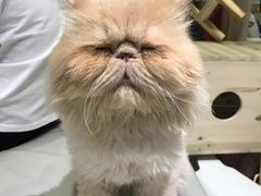 -小时光咖啡馆(开森度假森林店)