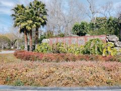 -洱海月湿地公园