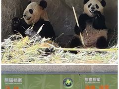 -中国大熊猫保护研究中心雅安碧峰峡基地