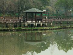 -金山公园