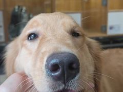 -汤姆宠物(长青北路店)