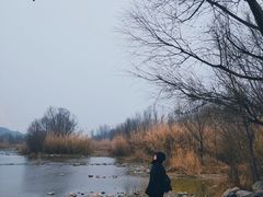 -淇河国家湿地公园