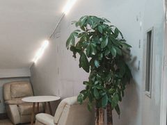 -TONG POWER游泳培训学校(西单山水宾馆校区)
