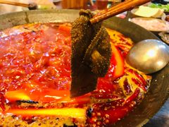 毛肚-星鸿社重庆老火锅(燃灯寺分店)