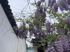 -青果巷历史文化街区