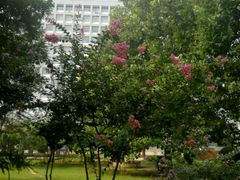 -防灾科技学院(南校区)