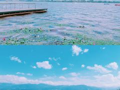 -西昌邛海湿地