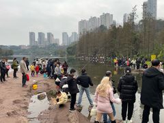 -重庆彩云湖湿地公园